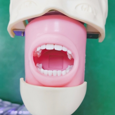歯科訓練シミュレーションヘッド トロッキー 歯科マウントドントファントヘッド 歯のモデル 教育および実践のための