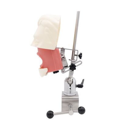 歯科シミュレーター教育ユニット 歯学部シミュレーション練習システム デンタルインプラントファントムヘッド