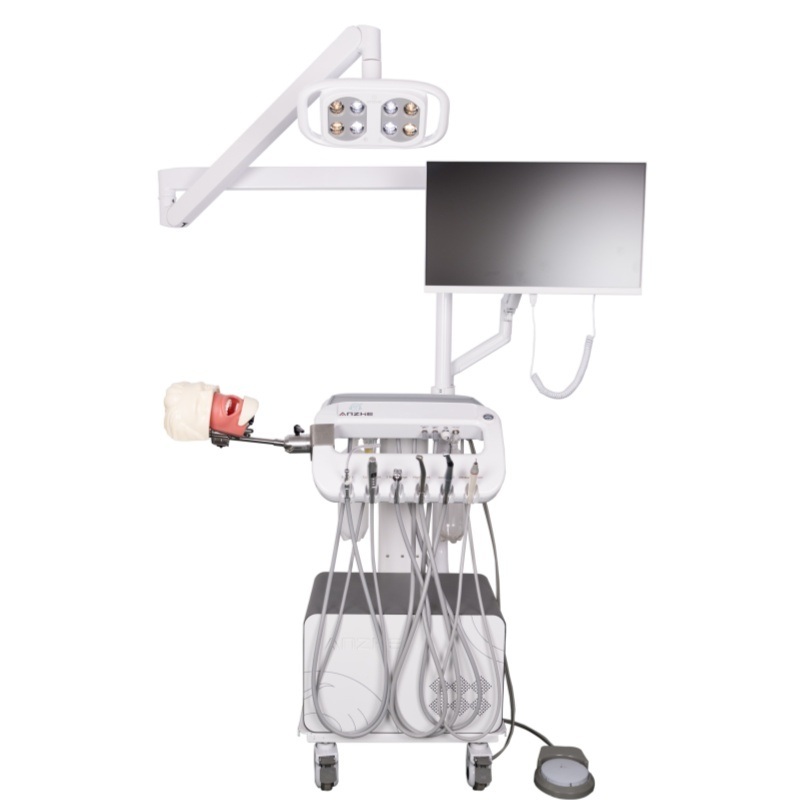 歯科麻酔抽出モデル 歯科学校 麻酔注射訓練モデル 口腔麻酔シミュレーターシステム