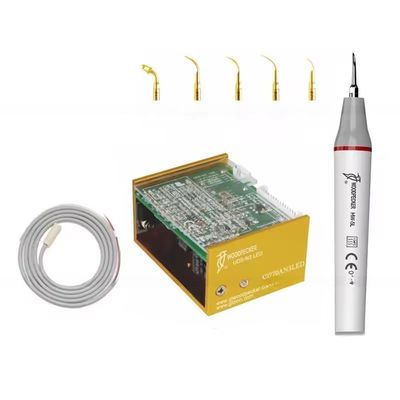 良い価格 ウッドペッカーN3 LED歯磨き設備 6つのヒントを持つ超音波歯磨き機 オンライン