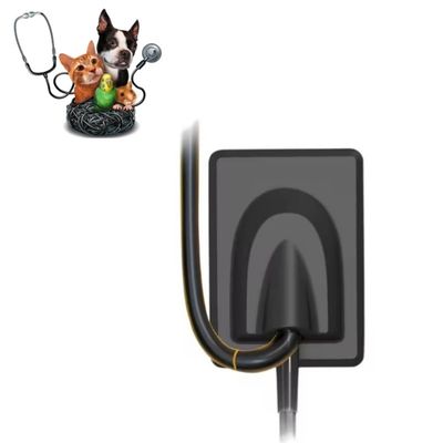 良い価格 獣医歯科機器 デジタルX線画像システム ペット歯 X線センサー RVG オンライン