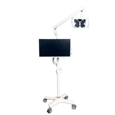 良い価格 4 ユニバーサル ホイール 冷たいライト 歯の漂白システム 蝶形歯の漂白装置 オンライン