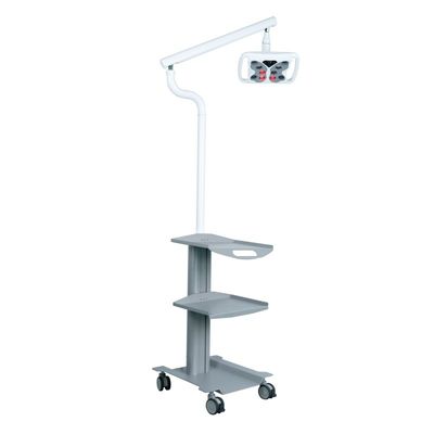 良い価格 美容室 機器 歯磨き機 歯科クリニック 歯磨き灯付き携帯歯車 オンライン