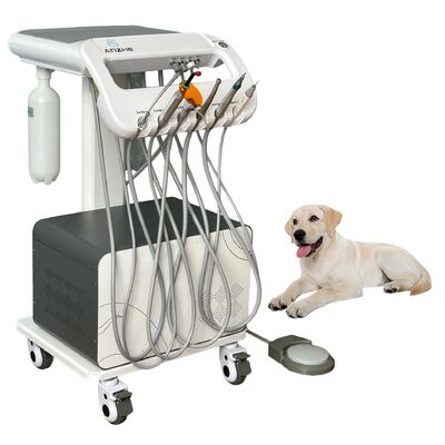 Hot Sale Mini Mobile Veterinary Dental Unit with Air Compressor Portable Pet Dental Cart for Animal Hospital Clinic OEM Factory