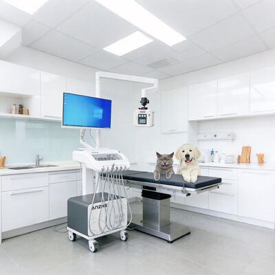 良い価格 X線とPCモバイル歯車とエアコンプレッサー吸気システムを持つ携帯歯科治療ユニット オンライン