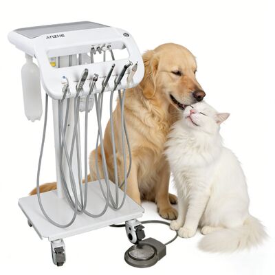 獣医用歯車 ペット用歯科治療カート ペット用歯科歯科歯科歯科ユニット 犬用歯科歯科歯科歯科歯科歯科歯科歯科歯科歯科歯科歯科歯科歯科歯科歯科歯科歯科歯科歯科歯科歯科歯科歯科歯科歯科歯科歯科歯科歯科歯科歯科歯科歯科歯科歯科歯科歯科歯科歯科歯科歯科歯科歯科歯科歯科歯科歯科歯科歯科歯科歯科歯科歯科歯科歯科歯科歯科歯科歯科歯科歯科歯科歯科歯科歯科歯科歯科歯科歯科歯科歯科歯科歯科歯科歯科歯科歯科歯科歯科歯科歯科歯科歯科歯科歯科歯科歯科歯科歯科歯科歯科歯科歯科歯科歯科歯科歯科歯科歯科歯科歯科歯科歯科歯科
