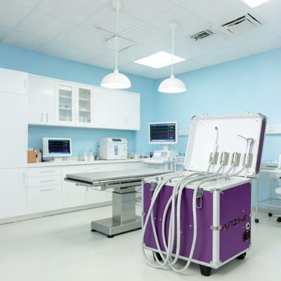 良い価格 ミニバッグ 携帯歯科ユニット 空気圧縮機 携帯歯科タービンユニット 全セット 携帯歯科クリニック機器 オンライン