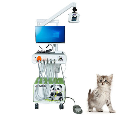 良い価格 オリジナル工場獣医用デジタル口腔内センサー プラグアンドプレイ フル装備のペットクリニック用高解像度 X 線 オンライン