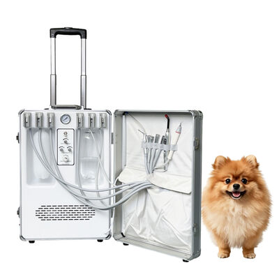 良い価格 獣医用 携帯歯科ユニット オイルフリー空気圧縮機 超音波スケーラーと吸着システム オールインワン モバイルペット歯科治療設備 工場直結 オンライン