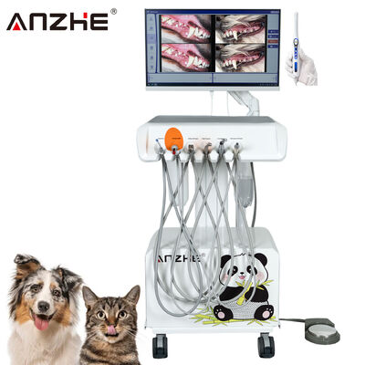 良い価格 工場直属 携帯型獣医歯科ユニット HD 口腔カメラと23.8インチタッチスクリーン オールインワンコンピュータ 組み込みエアコンプレッサ スケラー 獣医歯科クリニックのための治療光 オンライン